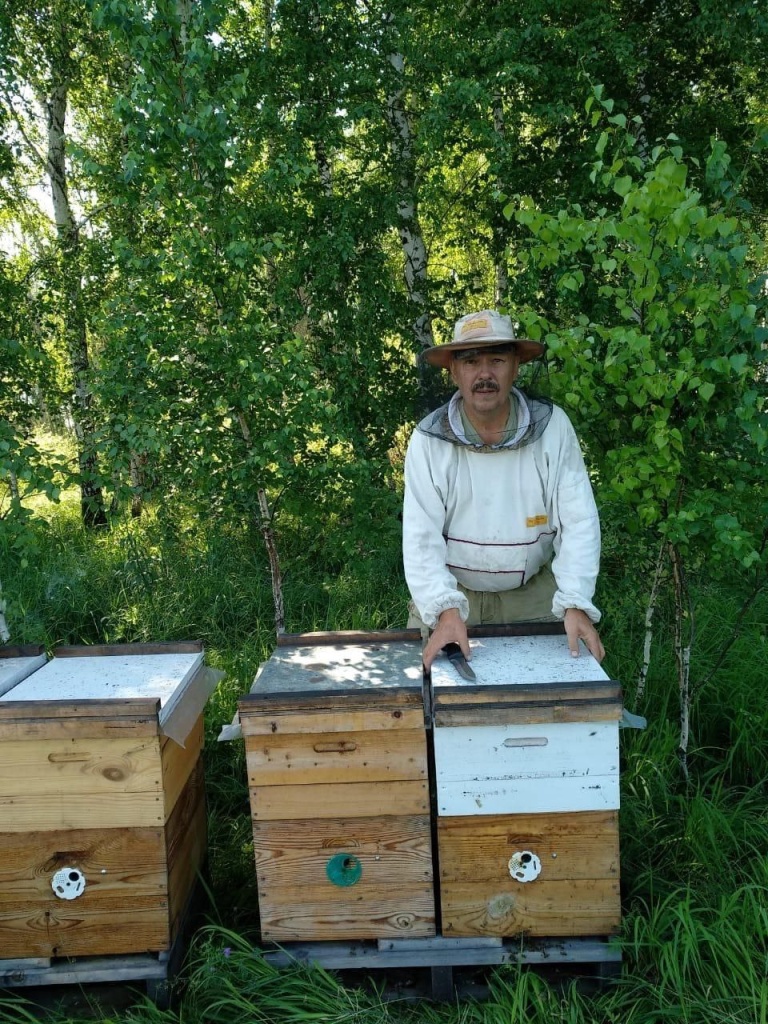 Коротких пчёлы 2.jpg Коротких пчёлы 2.jpg