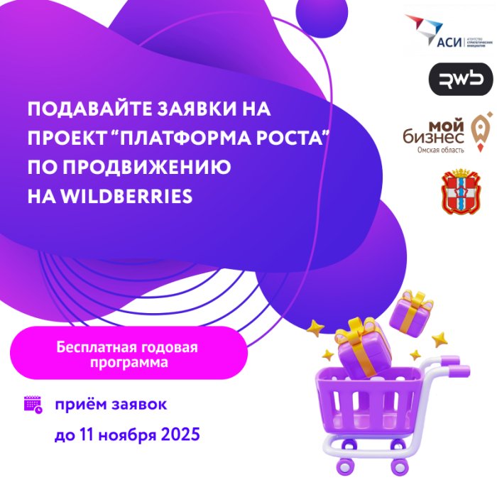 В Омской области стартовал набор на участие в федеральной программе "Платформа роста"