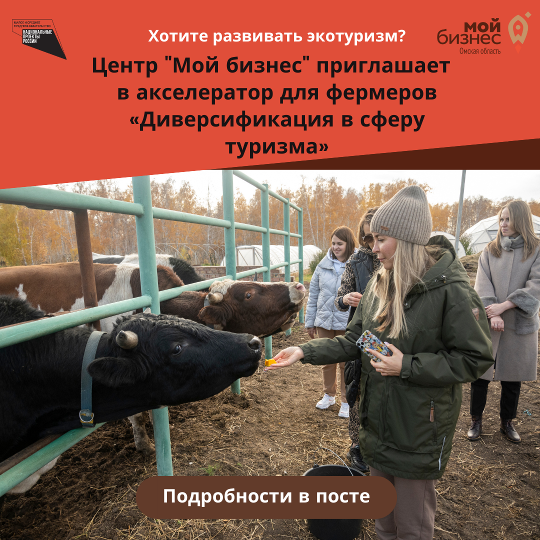 Центр «Мой бизнес» в Омске запускает акселератор для фермеров, желающих развивать сельский туризм или экотуризм