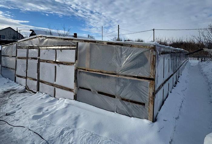 130 тысяч саженцев к весне: победительница программы «Мама-предприниматель» из Омска построила теплицу и увеличивает мощности питомника